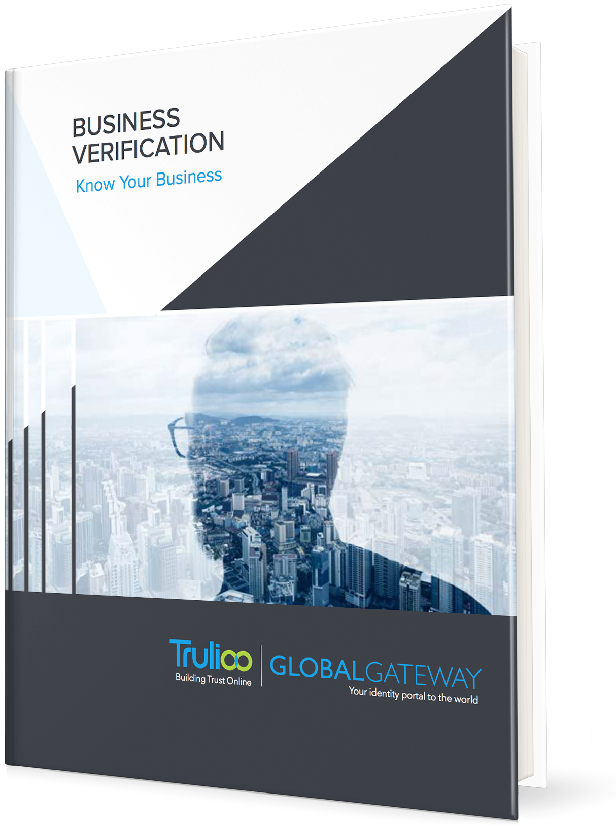 Business Verification Brochure.png